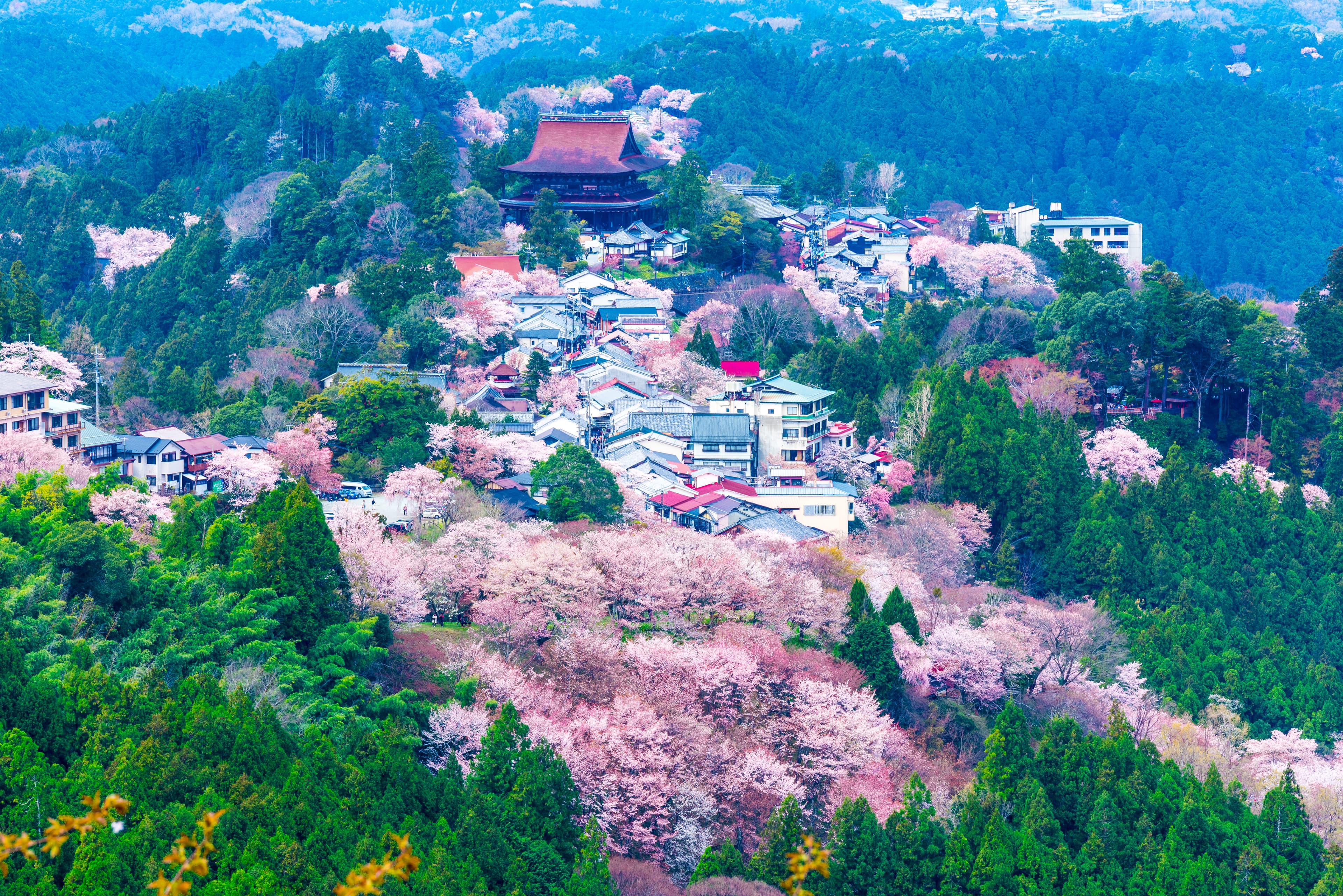 吉野山のイメージ