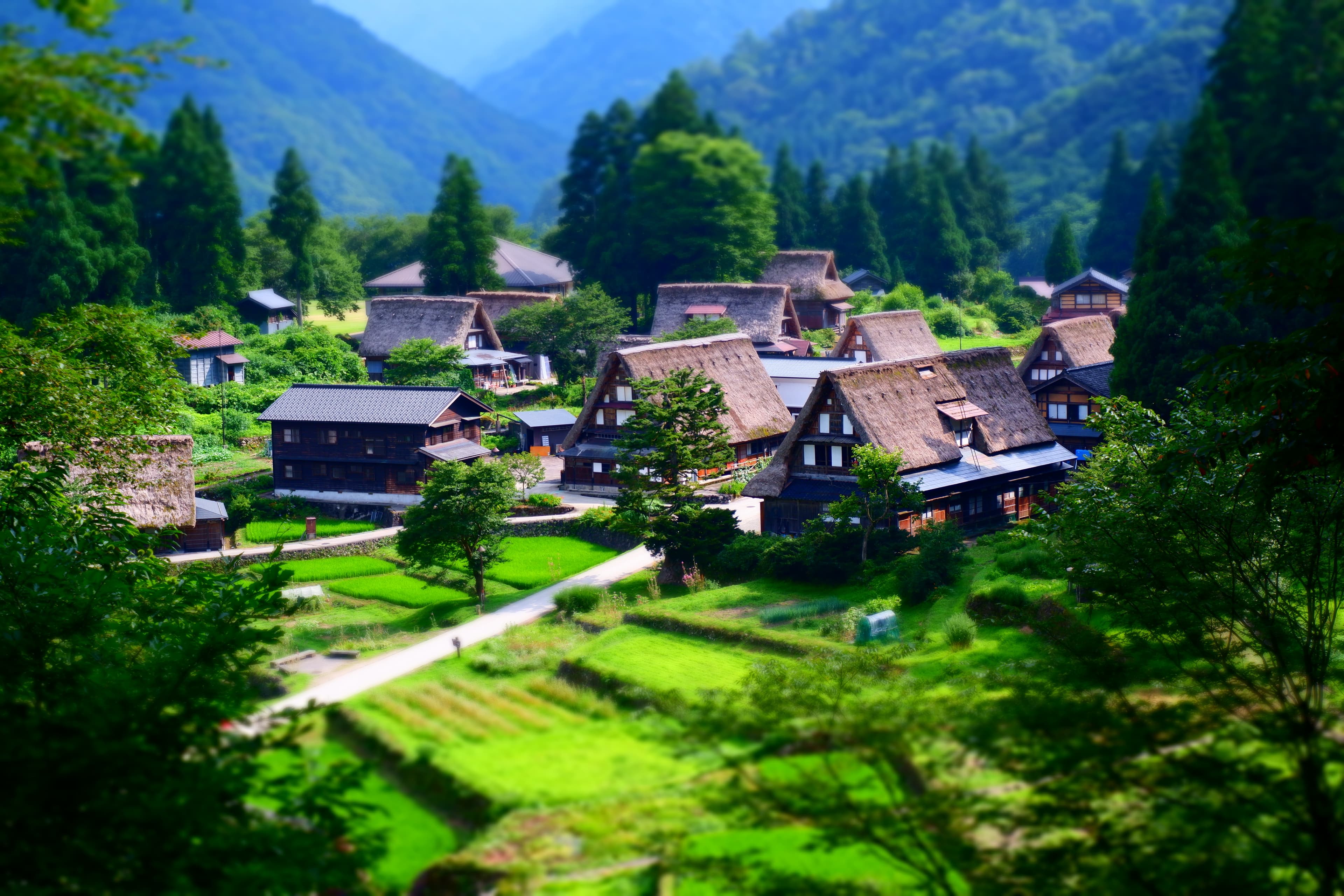 越中五箇山菅沼集落のイメージ