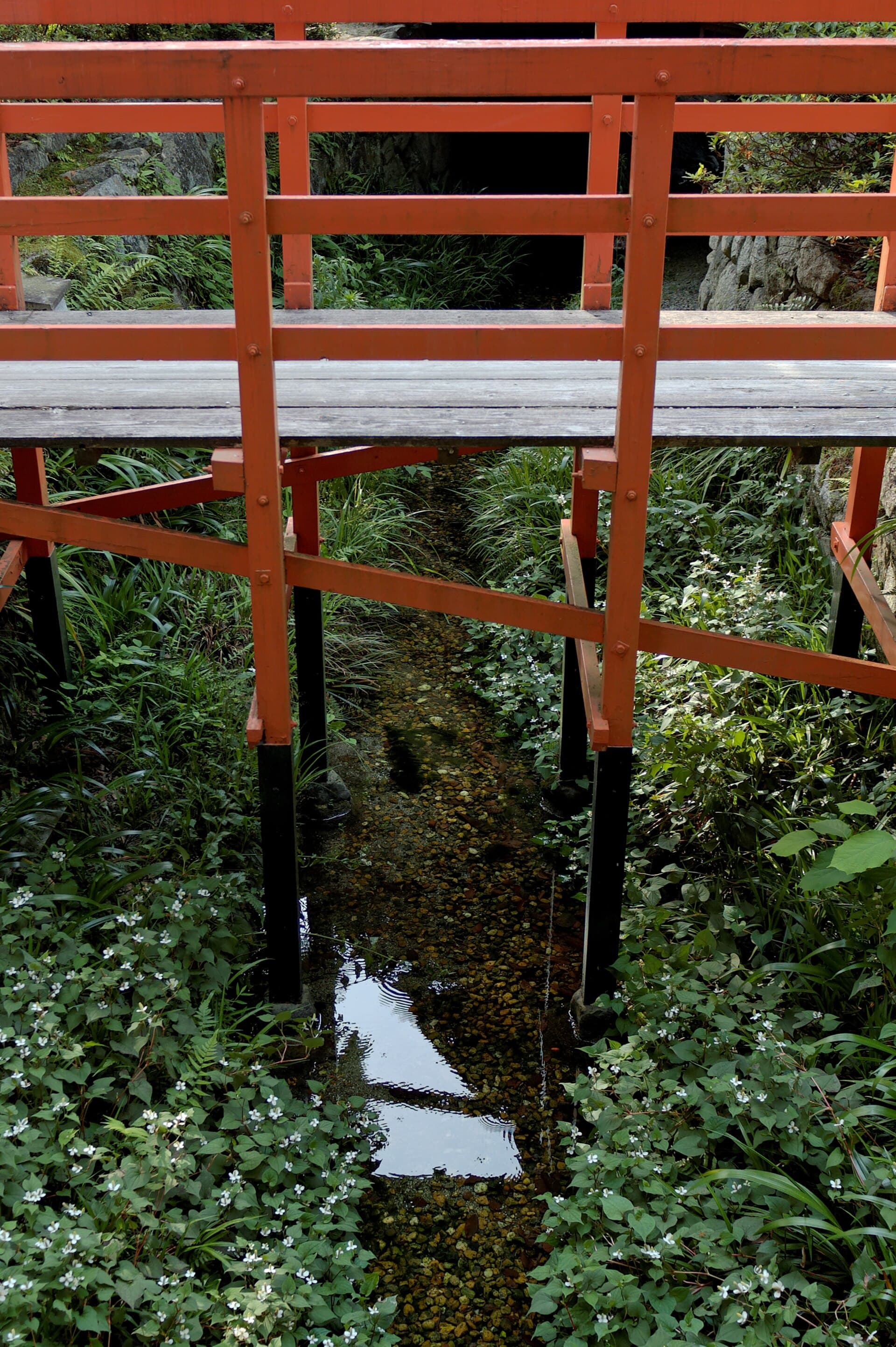下鴨神社のイメージ